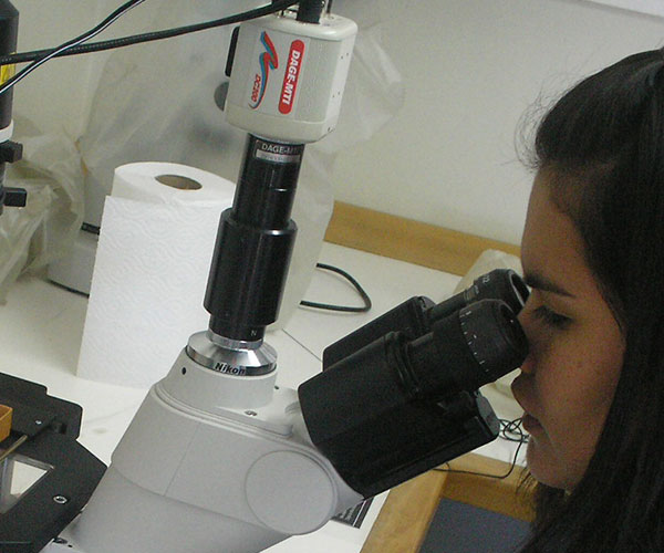 analisis-taxonomico
